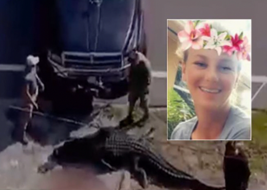 Woman’s body found in jaws of alligator in US image