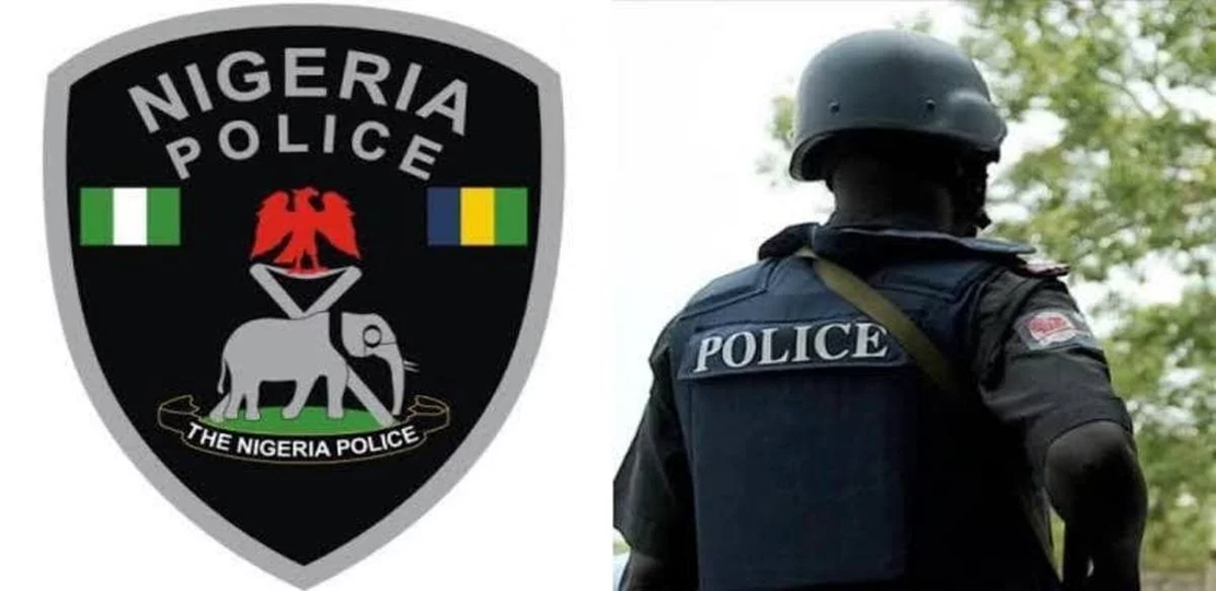 Police officer commits suicide after mistakenly killing colleague during arrest image