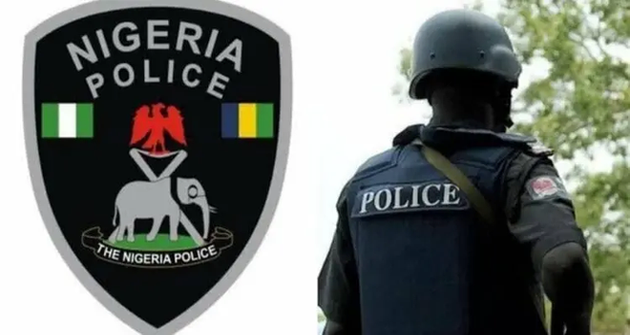 Police set up complaints offices in Rivers Enugu, Kano image