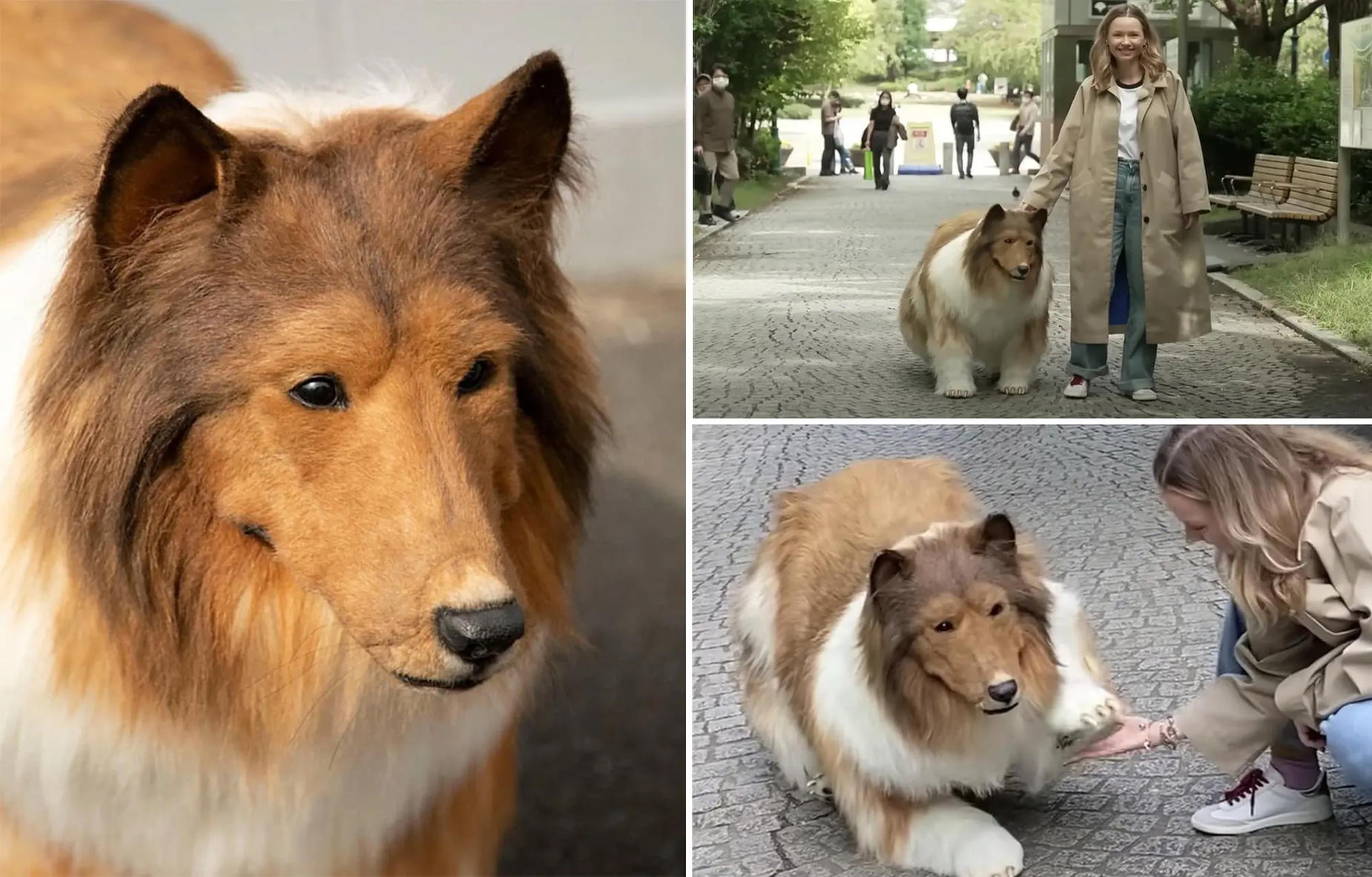 Japanese Man Who Turned Into Dog Goes For His First Ever Walk, Video is Now Viral image