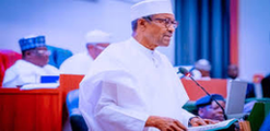 Buhari: After May 29, Niger Republic defend me image