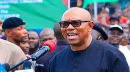 ‘Wake up from your bed’ – Peter Obi knocks Tinubu as bandits murder Ekiti monarchs image