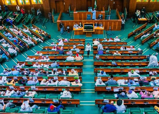 Reps’ bill to repeal NECO Act for efficiency passes second reading image