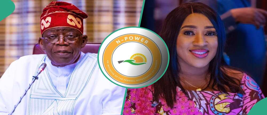 FG suspends N-Power, begins investigation image