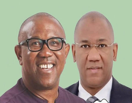 Peter Obi tenders results of 6 states, 115 LGAs in evidence :Presidential Tribunal image