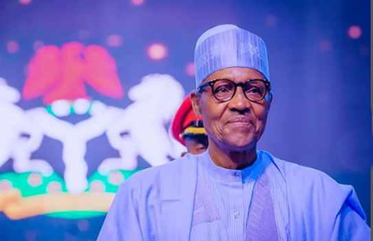 President Buhari: "I have no fears, Nigerians defend democracy". image