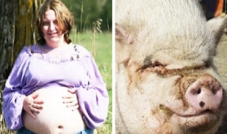 Woman Claims She Was Raped, Impregnated by a Pig image