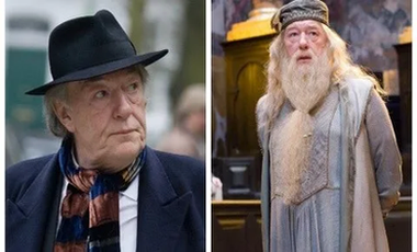 Harry Potter actor, Michael Gambon known for playing Dumbledore dies at 82 image