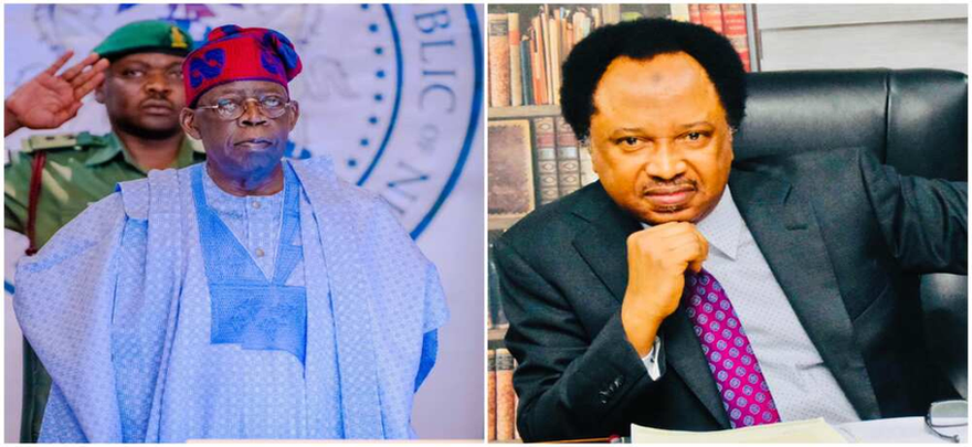 Atiku, Peter Obi vs Tinubu: What will happen if tribunal sacks president – Shehu Sani image