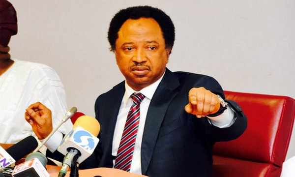 Shehu Sani: Nigerians will soon beg FG to leave them in poverty image