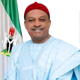 Senator Anyanwu emerges as PDP gubernatorial candidate in Imo State. image