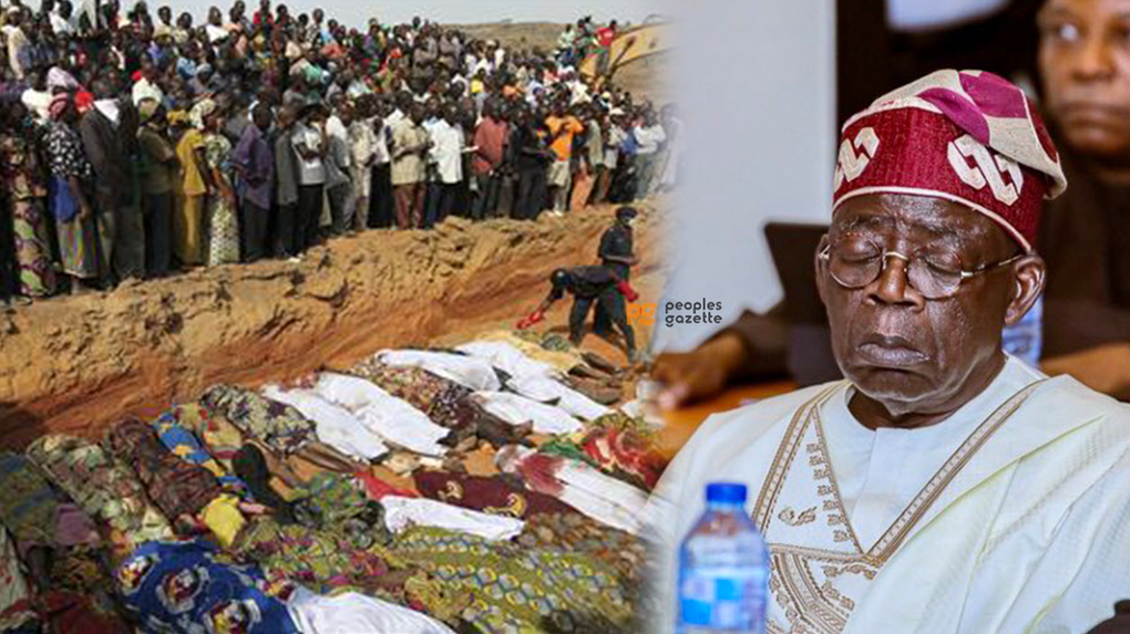 Killing Fields: 6,931 people killed under Tinubu in 10 months image