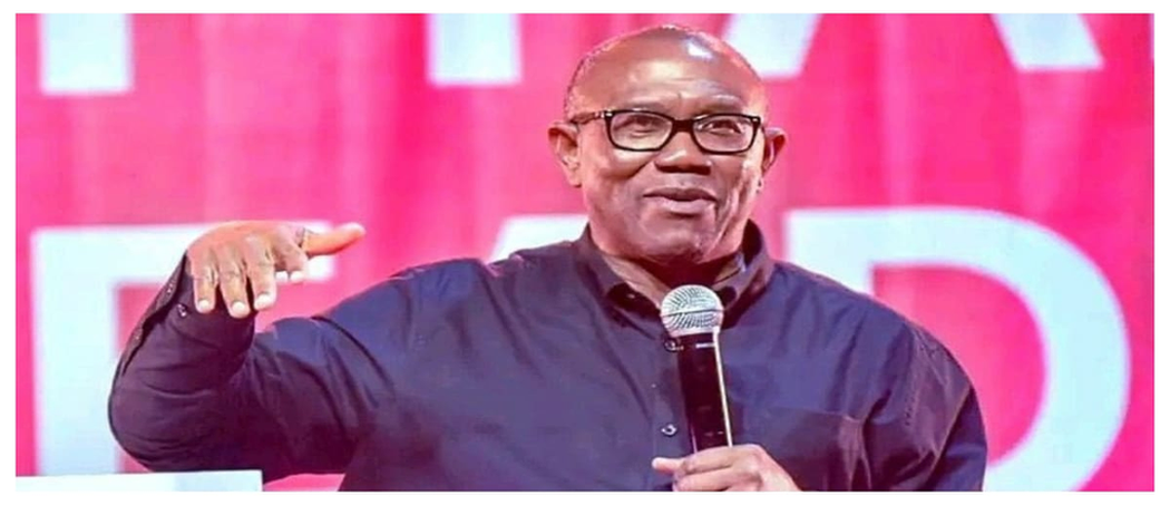 Mr Peter Obi: “I won’t celebrate my birthday with the current state of the nation” image