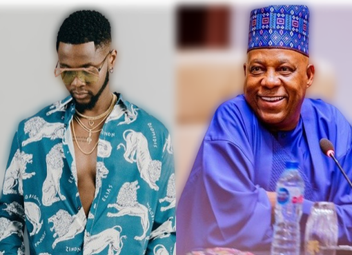 Kizz Daniel’s ‘Buga’ almost becoming Nigeria’s second national anthem – Shettima image