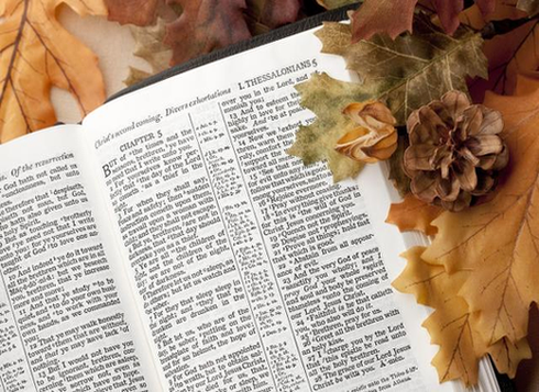 17 Bible Verses About Thanksgiving image