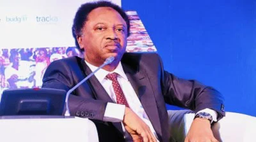 Pure act of racism – Shehu Sani reacts to Napoli’s treatment of Osimhen image