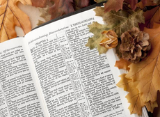 17 Bible Verses About Thanksgiving