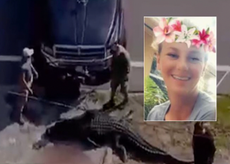 Woman’s body found in jaws of alligator in US