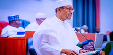 Buhari: After May 29, Niger Republic defend me