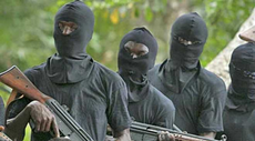 45 passengers kidnapped as gunmen attack transporters along Otukpo-Enugu Road